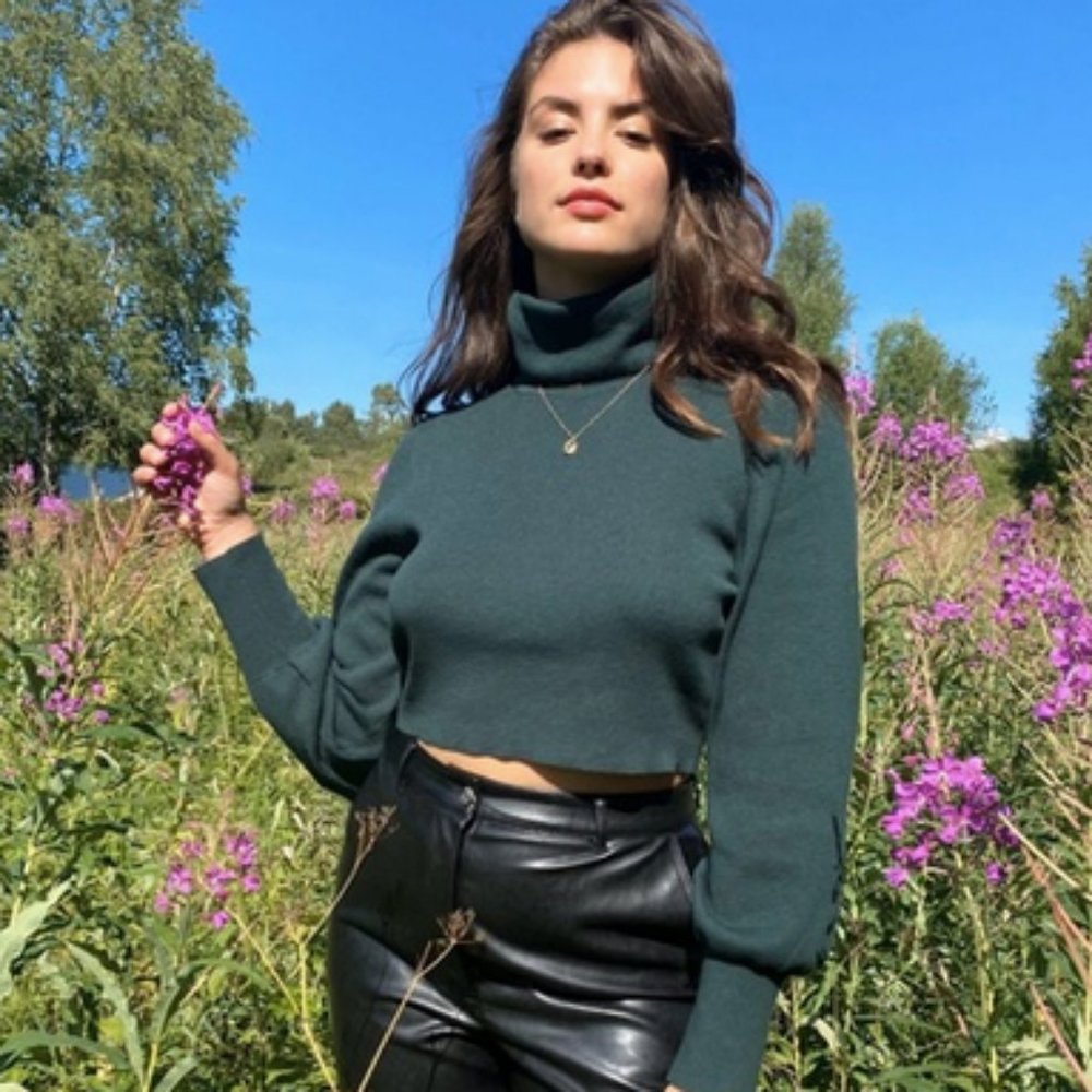 Aritzia Wilfred Rebecca Wool Sweater